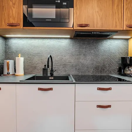 Family Ski&bike House Lejlighed