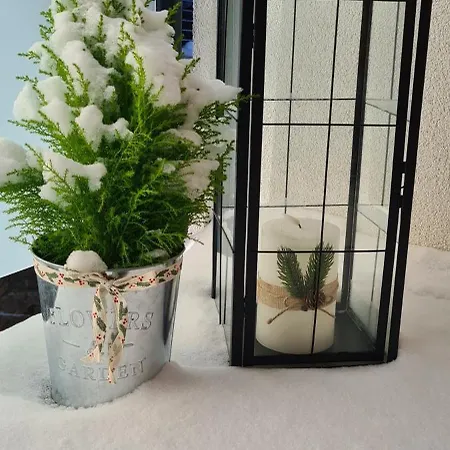 Family Ski&bike House